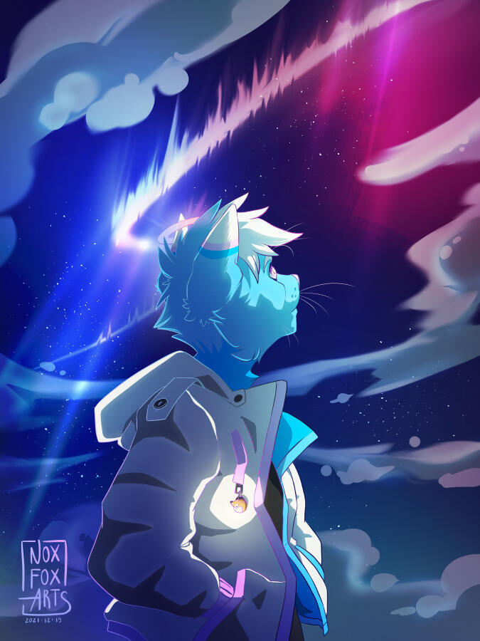 Me looking away from the viewer at an aurora borealis